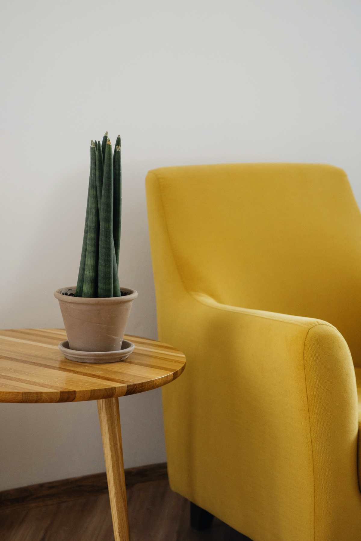 colores en decoración