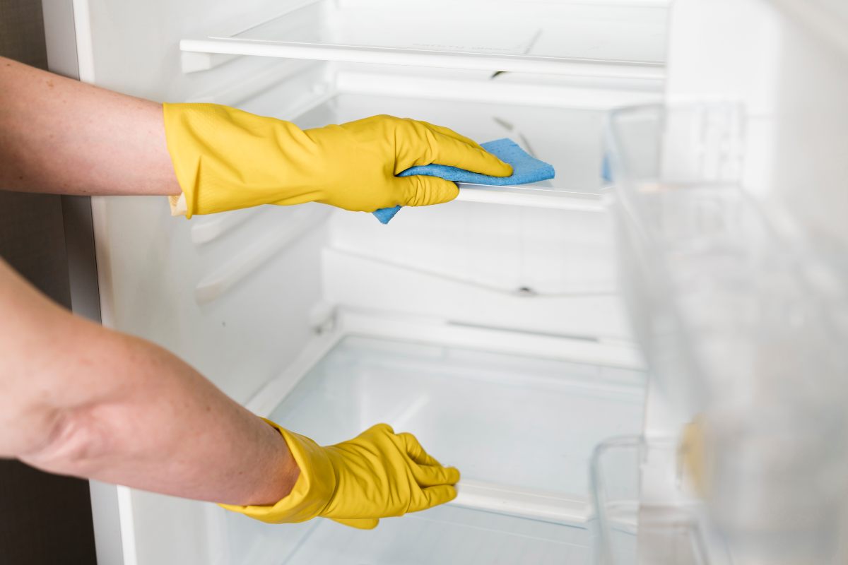 limpieza de frigo